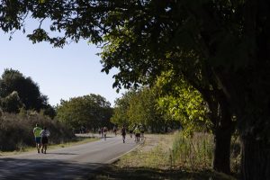 ILR 2025 - Γύρος Λίμνης 30 χλμ.